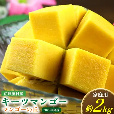 【2026年発送】　宜野座村産キーツマンゴー「マンゴーの丘」家庭用　約2kg フルーツ 甘い 美味しい 特徴 香り お取り寄せ Mango デザート 大きい 希少 贈り物 ビタミン おすすめ 贅沢 栄養価 国産 沖縄県 人気 産地直送 送料無料