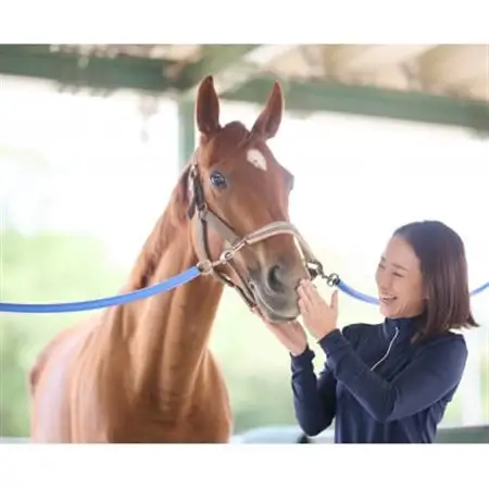 乗馬体験 (30分) 10回スキルUPコースご利用券(別途装具レンタル・保険料必要)【1703900】