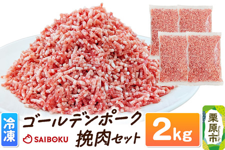 肉 豚 【冷凍】ゴールデンポーク 挽肉 2kg セット