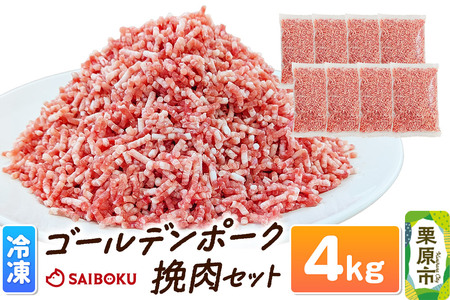 肉 豚 【冷凍】ゴールデンポーク 挽肉 4kg セット