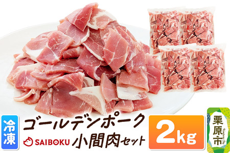 肉 豚 【冷凍】ゴールデンポーク 小間肉 2kg セット