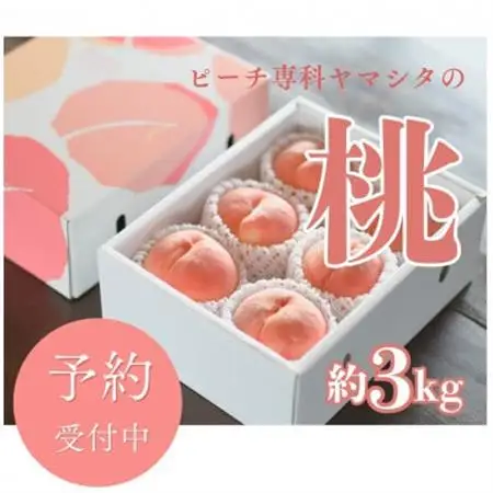 【2026年7月発送開始】桃の産地山梨からお届け　ピーチ専科ヤマシタの桃　3kg【配送不可地域：離島】【1707806】