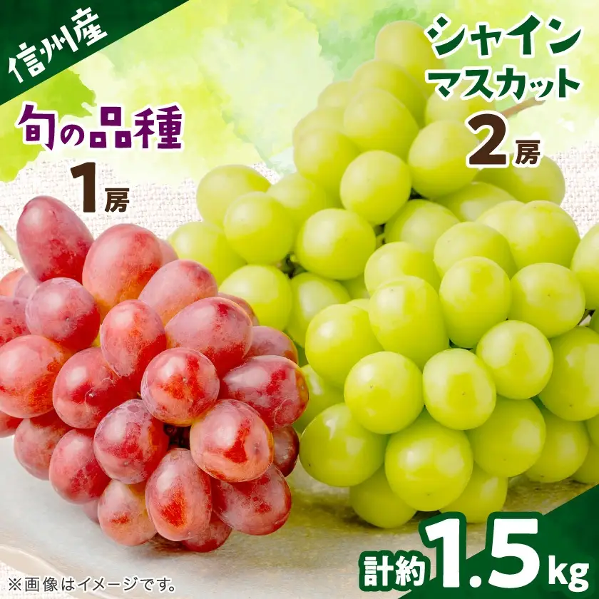 【信州産ぶどう3房セット】 シャインマスカット2房・旬の品種1房(約500g×3房)【配送不可地域：離島】【1221645】