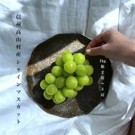 【2026年10月～11月発送】長寿の村信州高山村産シャインマスカット約1kg箱(2房～4房)【配送不可地域：離島・沖縄県】【1383479】