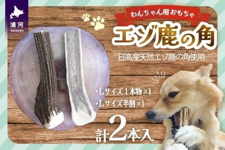 エゾ鹿の角 Lサイズ1本と半割1本のセット[54-1534]