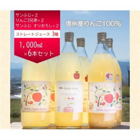 信州産りんご100%ストレートジュース　6本セット【1620484】