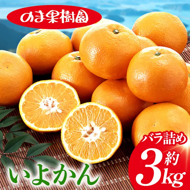 【先行予約】いよかんバラ詰め（3kg） 