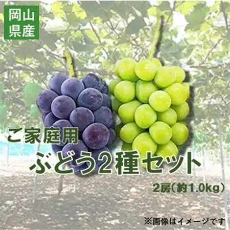 【2026年先行予約】訳あり NISSHOKU FARM ご家庭用ぶどう2種セット 約1.0kg【1706916】