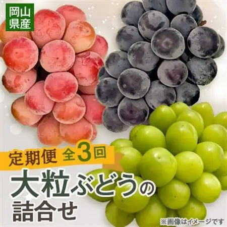 【発送月固定定期便】10月～12月 大粒ぶどうの詰め合わせ全3回【4081536】