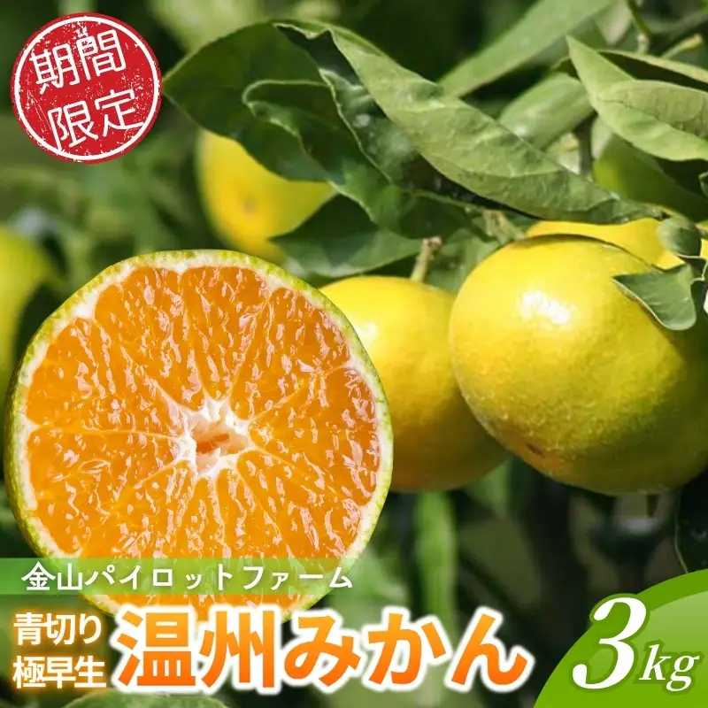 みかん 極早生温州みかん 3kg【knpr0018】