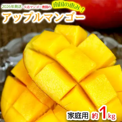 【2026年発送】久志マンゴー農園のアップルマンゴー家庭用（約1kg） アーウィン 果物 甘い 夏 濃厚 ギフト Mango ランキング 完熟 お気に入り 美味しい 人気 おすすめ フルーツ 沖縄県 先行予約 食品 デザート 産地直送 送料無料
