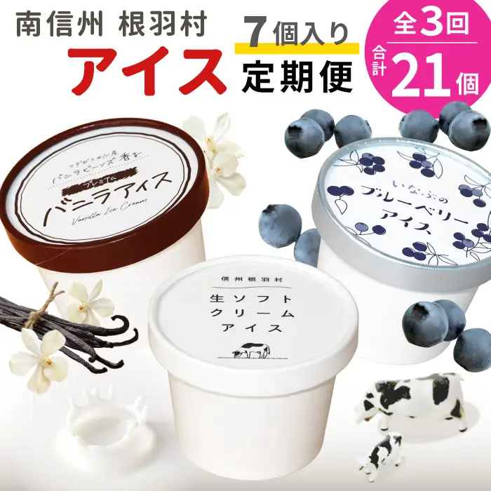 全3回〈翌月から発送開始〉3種類のアイス定期便☆ 南信州根羽村産アイス が毎月7個届く！ 合計21個 アイス アイスクリーム 定期便 生ソフトクリームアイス バニラアイス ブルーベリー 果物 ジャム 長野県 根羽村 ソフトクリーム スイーツ