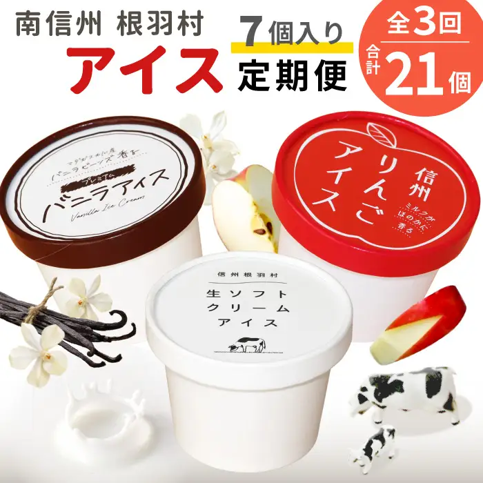 全3回〈翌月から発送開始〉NEWフレーバーが入った！3種類のアイス定期便☆ 南信州根羽村産アイス が毎月7個届く！ 合計21個 アイス アイスクリーム ソフトクリーム バニラアイス りんご 果物 ジャム 長野県 根羽村 ソフトクリーム スイーツ
