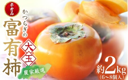 【2026年発送】富有柿 赤秀品 大玉 6個～8個入 こだわり農家厳選【2026年10月末から11月末頃に順次発送予定】 / 柿 フルーツ 果物 かき 和歌山 かつらぎ 農家直送 贈答 【kgr043】 