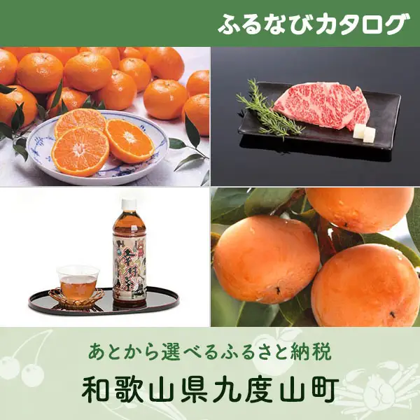 【有効期限なし！後からゆっくり特産品を選べる】和歌山県九度山町カタログポイント