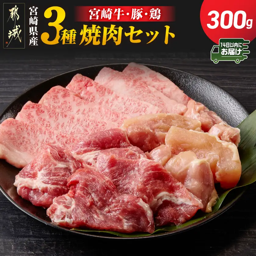 宮崎県産≪宮崎牛・豚・鶏≫3種の焼肉セット300g≪みやこんじょ快速便≫〔AA-89-003-300g-R〕_(都城市)  宮崎県産 焼肉セット 宮崎牛バラ 豚肉(ロース又は肩ロース) 鶏モモ肉