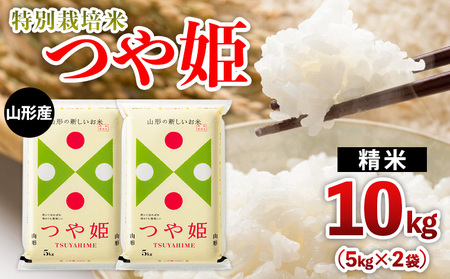 山形産 特別栽培米 つや姫 10kg(5kg×2) FZ26-769