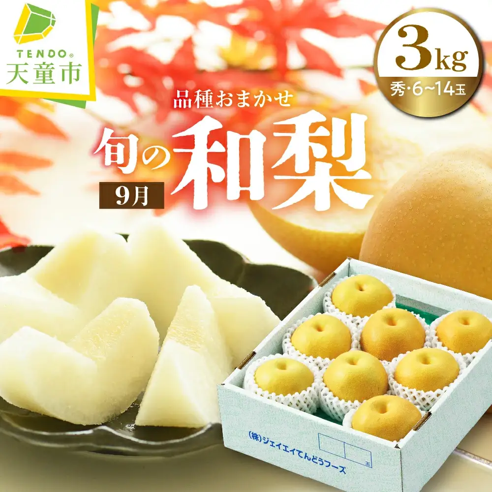 9月 旬 の 和梨 ( 品種おまかせ ) 3kg フルーツ 果物 山形