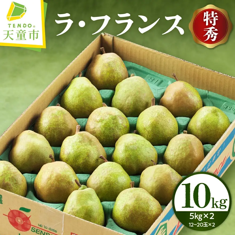 ラ・フランス 10kg フルーツ 果物 山形 