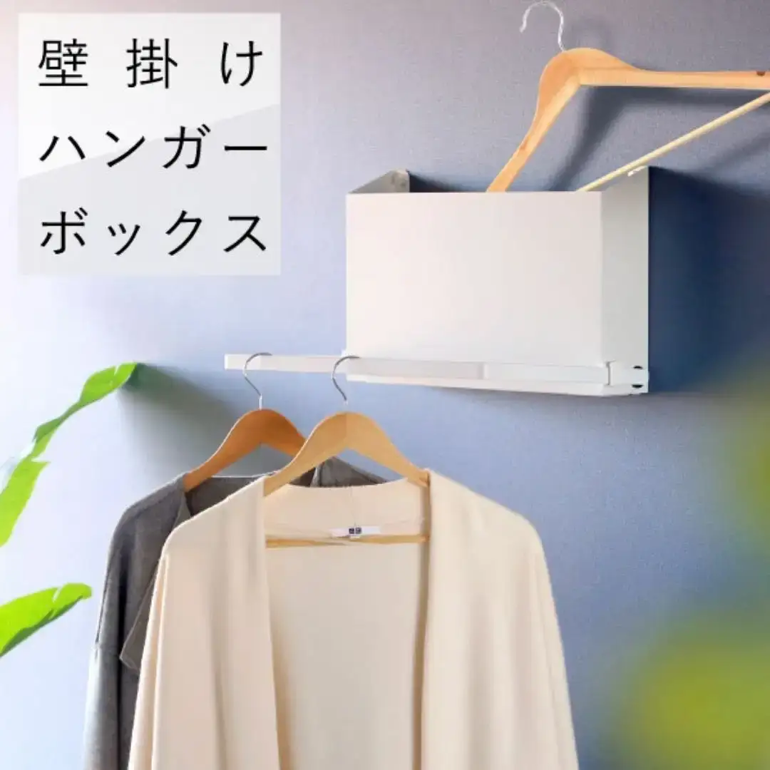 壁掛けハンガーボックス ホワイト SE-250 日本製 燕三条 玄関収納 レイン コート 川口工器
