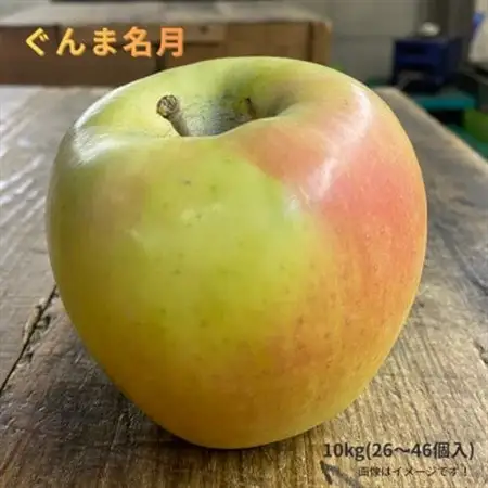 訳あり/家庭用 ぐんま名月 約10kg(26～46個)【2026年11月～順次発送予定】【配送不可地域：離島】【1709971】