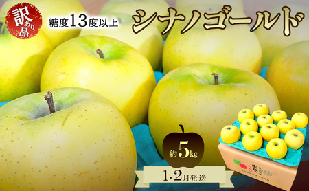 りんご【1月・2月発送】糖度13度以上 訳あり品 家庭用 シナノゴールド 約5kg【青森りんご 果物 フルーツ デザート 食後 青森県産 産地直送 贈り物】