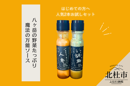 はじめてのフェリチタ（2本）　ドレッシング 調味料  詰め合わせ セット 200ml×2本 人参ドレッシング 胡麻ドレッシング 野菜 サラダ 温野菜 肉料理 たれ 食べ比べ 手づくり 八ヶ岳 栽培期間中農薬不使用 化学調味料不使用 保存料不使用 着色料不使用  [h097]