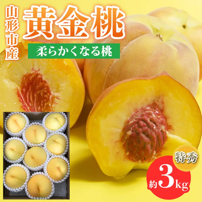 山形市産 黄金桃 特秀品 [柔らかくなる桃] 3kg(7～13玉)【令和8年産先行予約】FS25-147