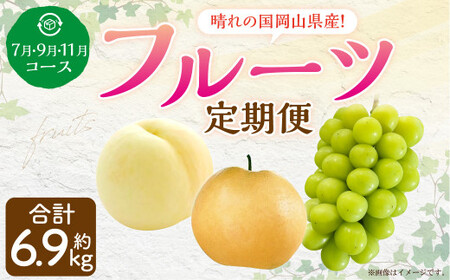 【3回定期便】岡山県産 フルーツ定期便コース （白桃・ 晴王・あたご梨） 計約6.9kg  【2026年7月上旬発送開始】 白桃 桃 もも シャインマスカット 晴王 ぶどう 葡萄 マスカット あたご 梨 なし フルーツ 果物 くだもの 岡山