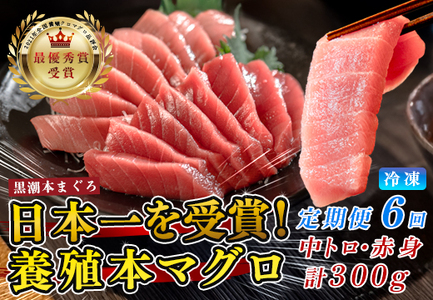 まぐろ マグロ 本鮪 黒潮本まぐろ 中トロ 赤身 定期便 6回 計300g × 6回 刺身 柵 冷凍