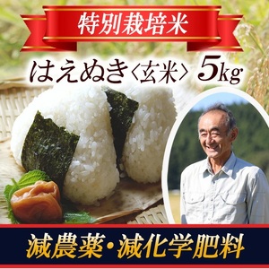 はえぬき 玄米 5kg×1袋 令和7年産米 特別栽培米 山形県遊佐産 鳥海山の恵 東北 遊佐町 庄内地方 庄内平野 米 お米 庄内米 ごはん ご飯 [1403R07]