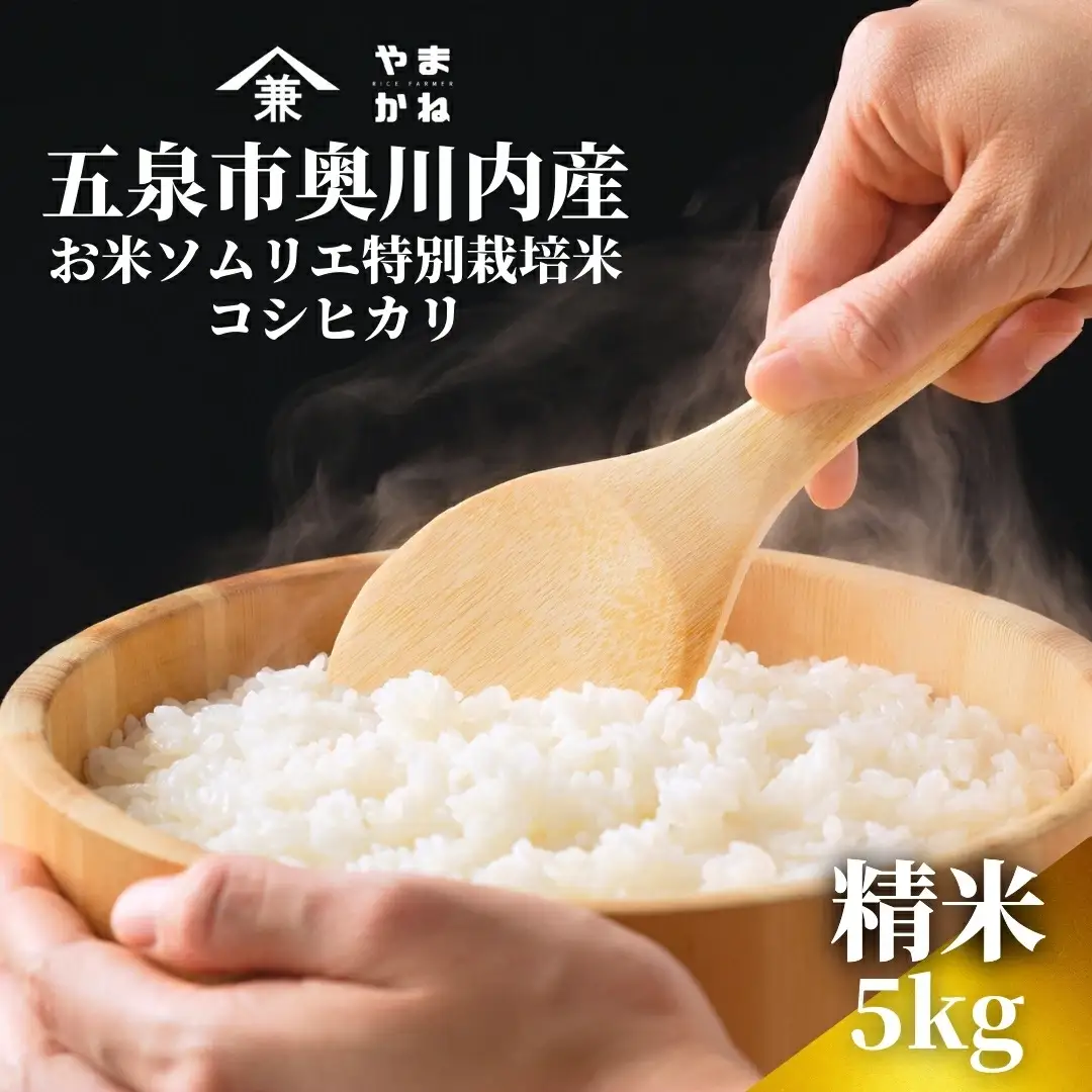 【先行予約】令和8年産 五泉市産 特別栽培米 コシヒカリ 5kg(5kg×1袋)