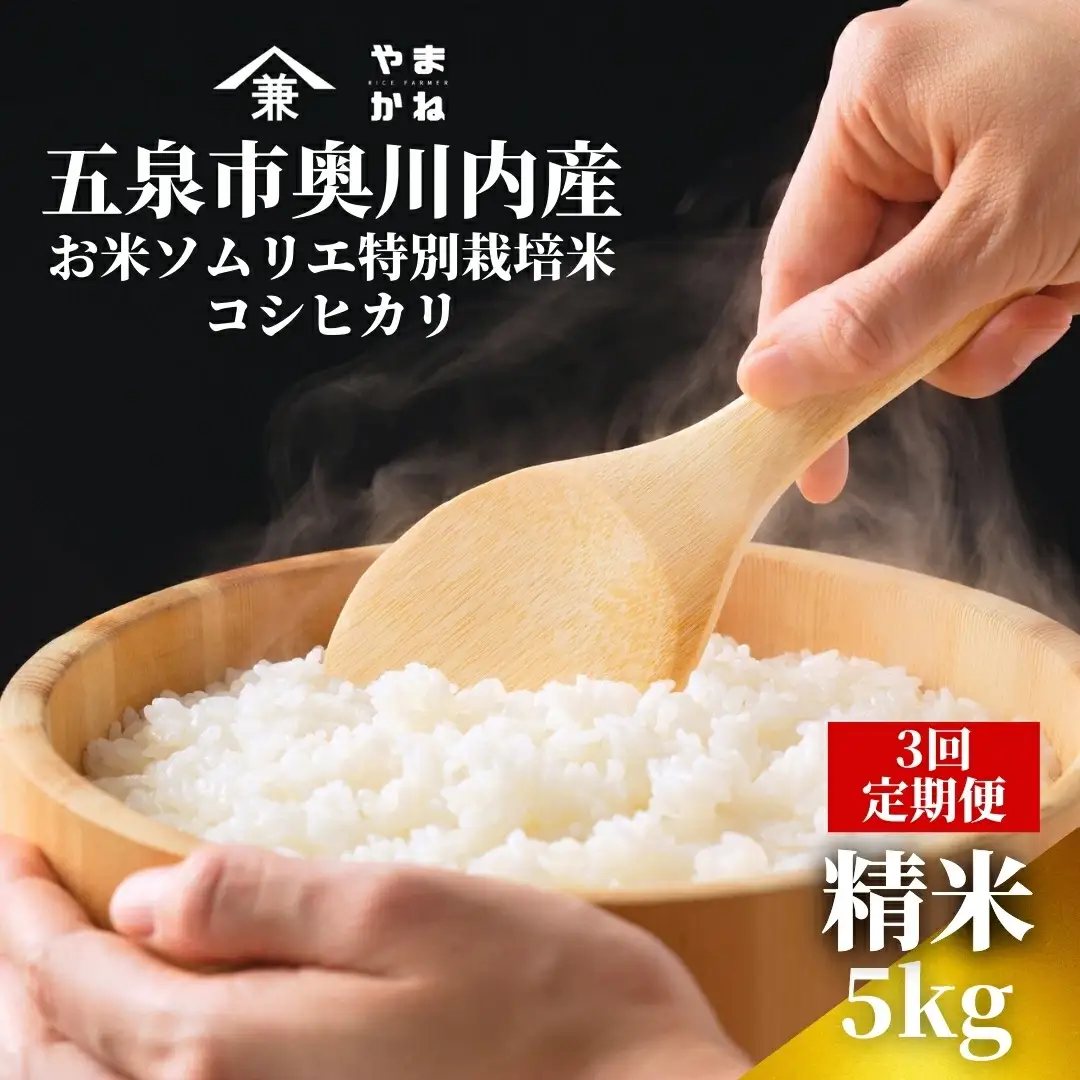 【先行予約】令和8年産 3ヶ月定期便 五泉市産 特別栽培米 コシヒカリ 5kg(5kg×1袋)