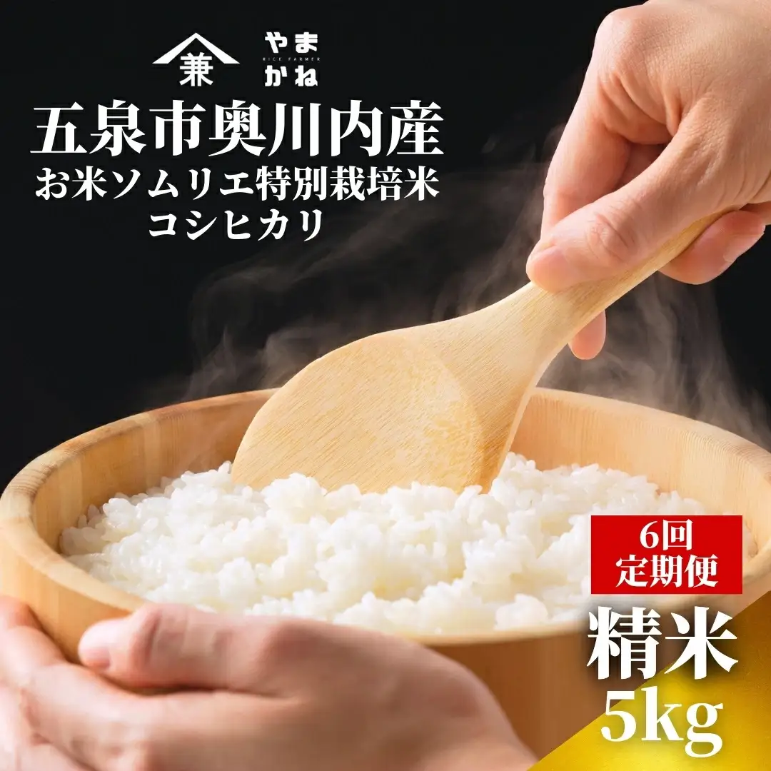 【先行予約】令和8年産 6ヶ月定期便 五泉市産 特別栽培米 コシヒカリ 5kg(5kg×1袋)