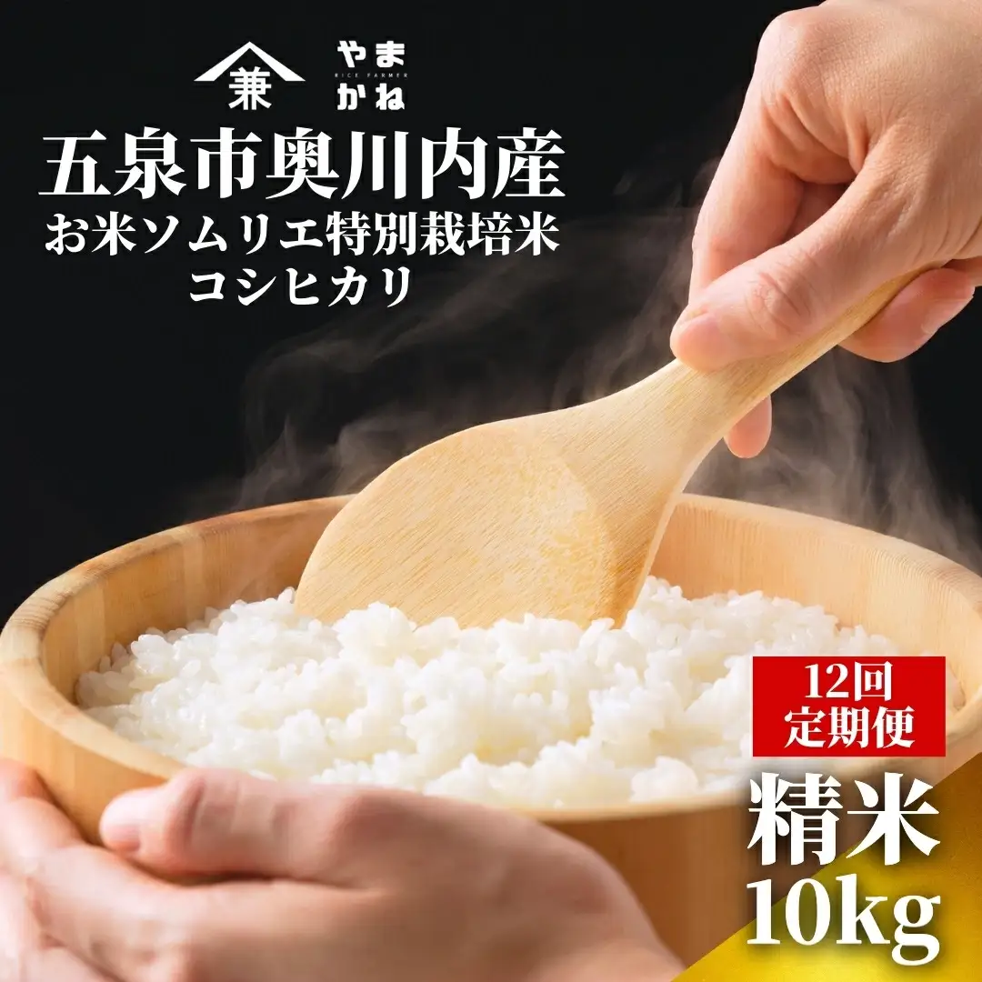【先行予約】令和8年産 12ヶ月定期便 五泉市産 特別栽培米 コシヒカリ 10kg(5kg×2袋)