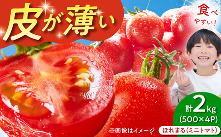 【先行予約】 ミニトマト ほれまる 500g×4パック [AJAJ012] トマト 夏