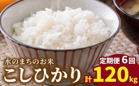 【令和7年産】【6ヶ月定期便】こしひかり 20kg×6回 計120kg（白米）「エコファーマー米」水のまちのお米[P-003002]