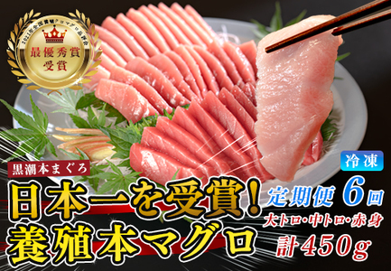 まぐろ マグロ 本鮪 黒潮本まぐろ 大トロ 中トロ 赤身 定期便 6回 計450g × 6回 刺身