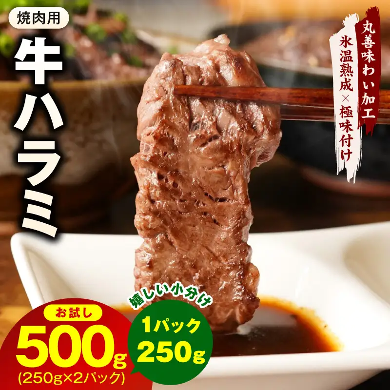 【お試し】牛肉 ハラミ 500g（250g×2P）