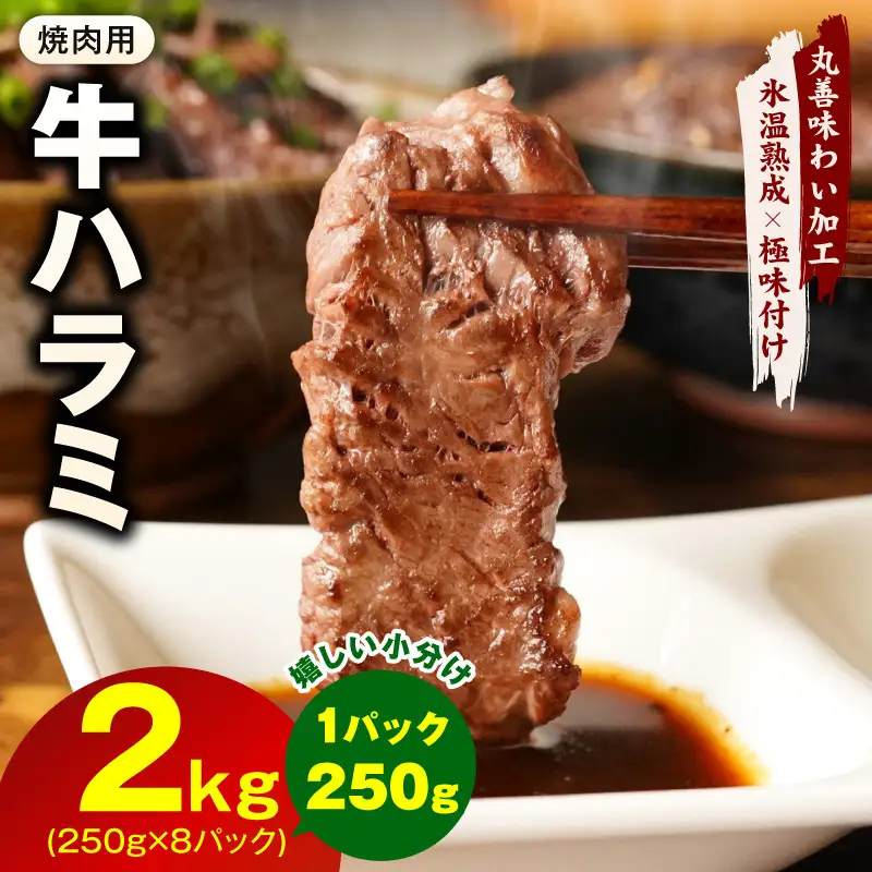 【氷温熟成×極味付け】牛肉 ハラミ 2kg（250g×8P）
