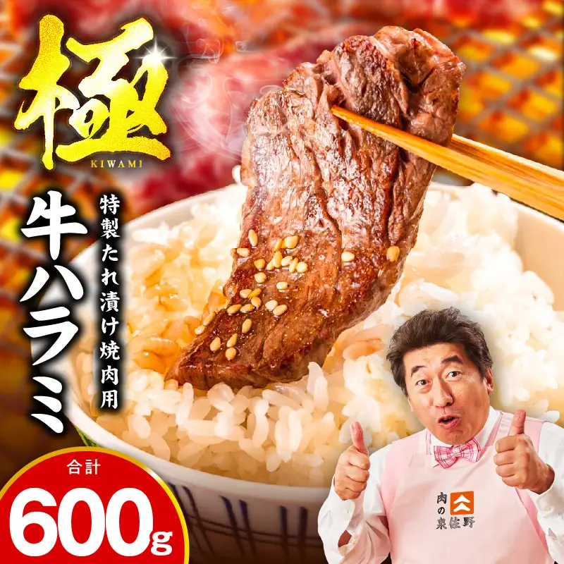 【お試し】牛肉 ハラミ 600g（300g×2P）