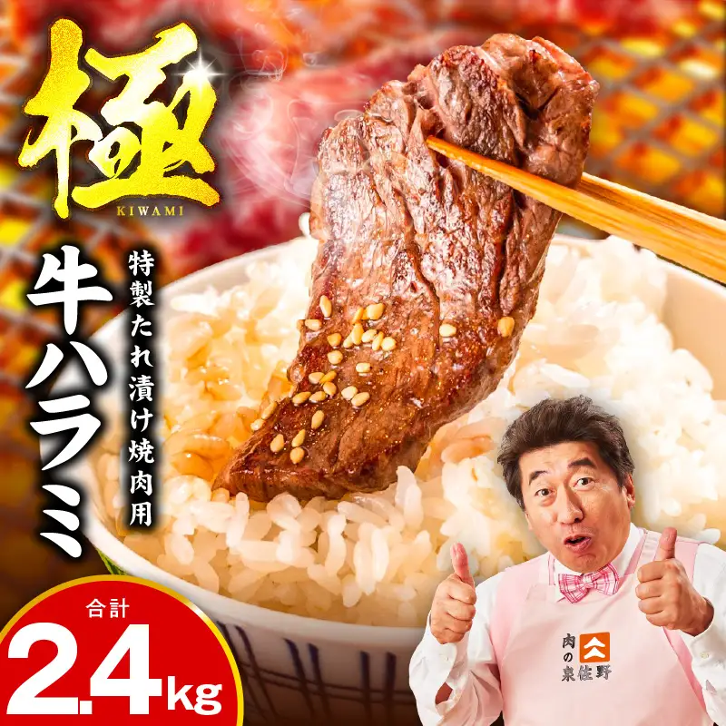 【氷温熟成×特製ダレ】牛肉 ハラミ 2.4kg（300g×8P）