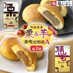 【2ヶ月定期便】亀印製菓 茨城県産栗＆芋満喫定期便A（MP-35）
