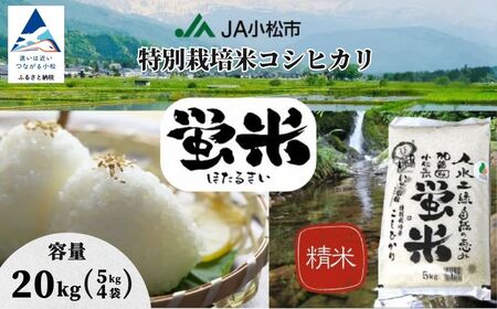 【先行予約】 令和8年産 特別栽培米 コシヒカリ 20kg 蛍米 精米 特別栽培米【JA小松市】