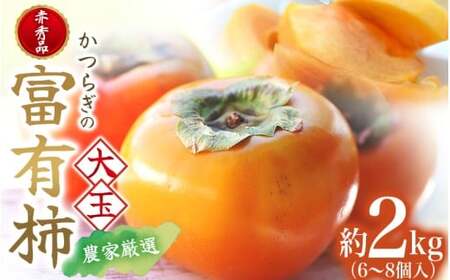 先行予約 富有柿 赤秀品大玉6個～8個入 こだわり農家厳選【2026年10月末から11月末頃順次発送】 / 柿 フルーツ 果物 かき 和歌山 かつらぎ 農家直送 贈答【kgr043】