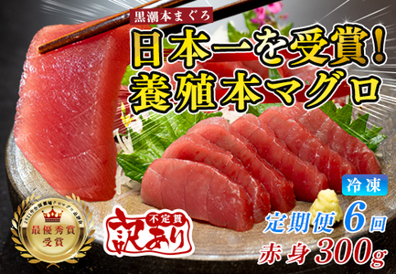 訳あり まぐろ マグロ 本鮪 黒潮本まぐろ 赤身 定期便 6回 300g × 6回 刺身