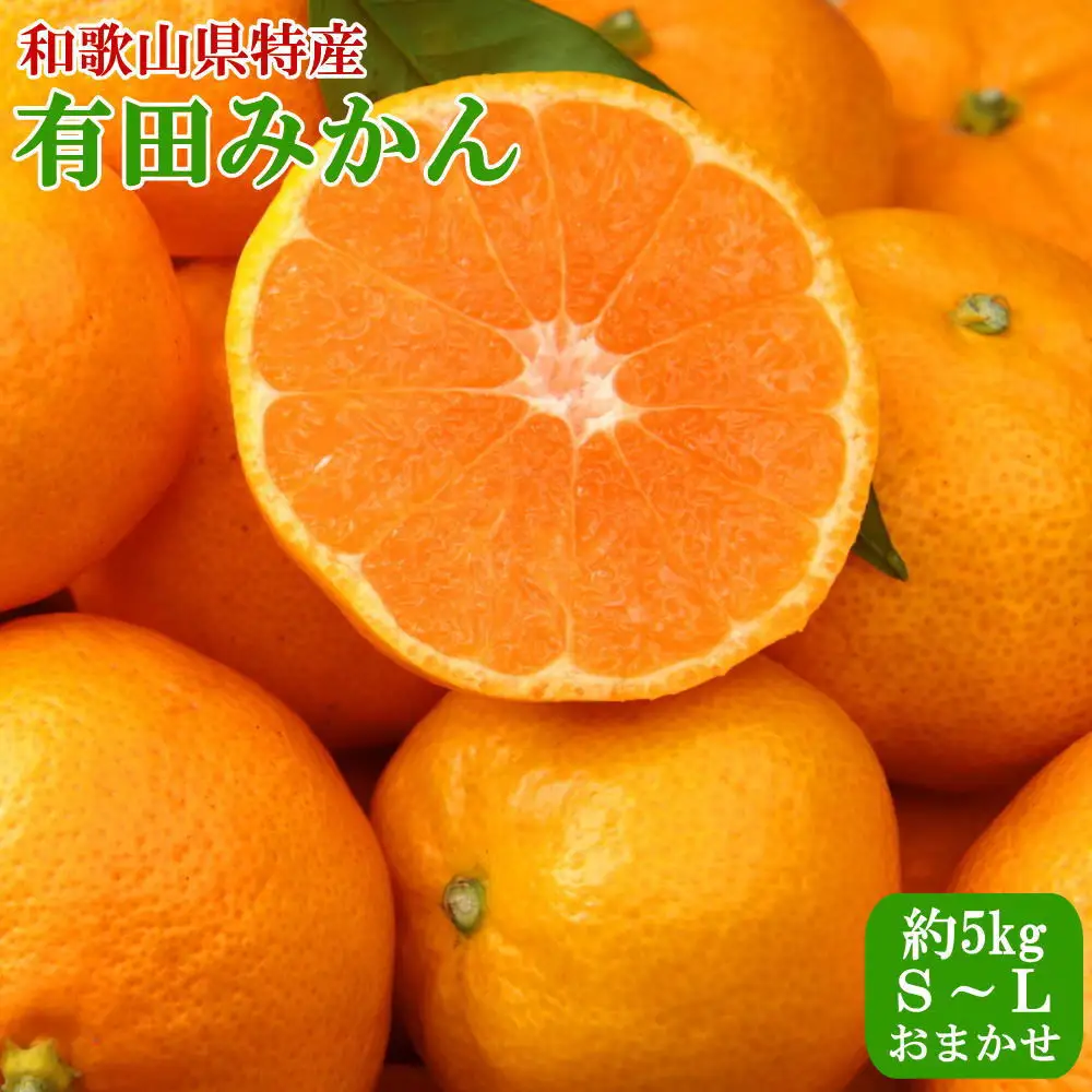 [秀品]和歌山有田みかん5kg (S～Lサイズおまかせ) ★2026年11月中旬頃より順次発送