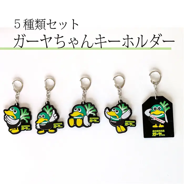 キーホルダー（越谷市ご当地キャラクター）アソートセット | キーホルダー アクリルキーホルダー キャラクターキーホルダー ガーヤちゃん ご当地キャラ セット商品 5個セット アソート デザイン違い まとめ買い バッグ小物 鍵用 プチギフト プレゼント 埼玉県 越谷市