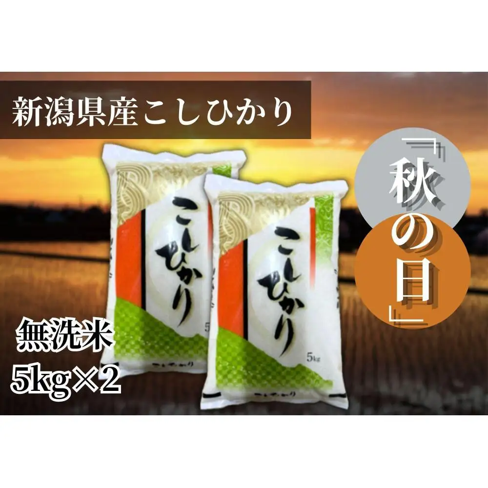 【令和7年産 】新潟県産こしひかり「秋の日」（無洗米10kg）【5kg×2袋】新潟県の美味しいお米。