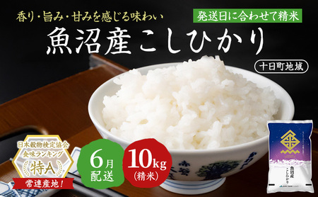 【令和7年産米】魚沼産こしひかり(十日町地域) 精米 10kg(5kg×2) 6月配送 お米 精米 こめ ご飯 白米 旧：五郎兵衛